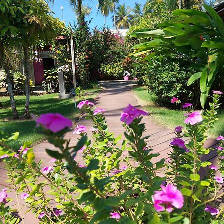 לאס טרנאס Hotel Casa Robinson מראה חיצוני תמונה