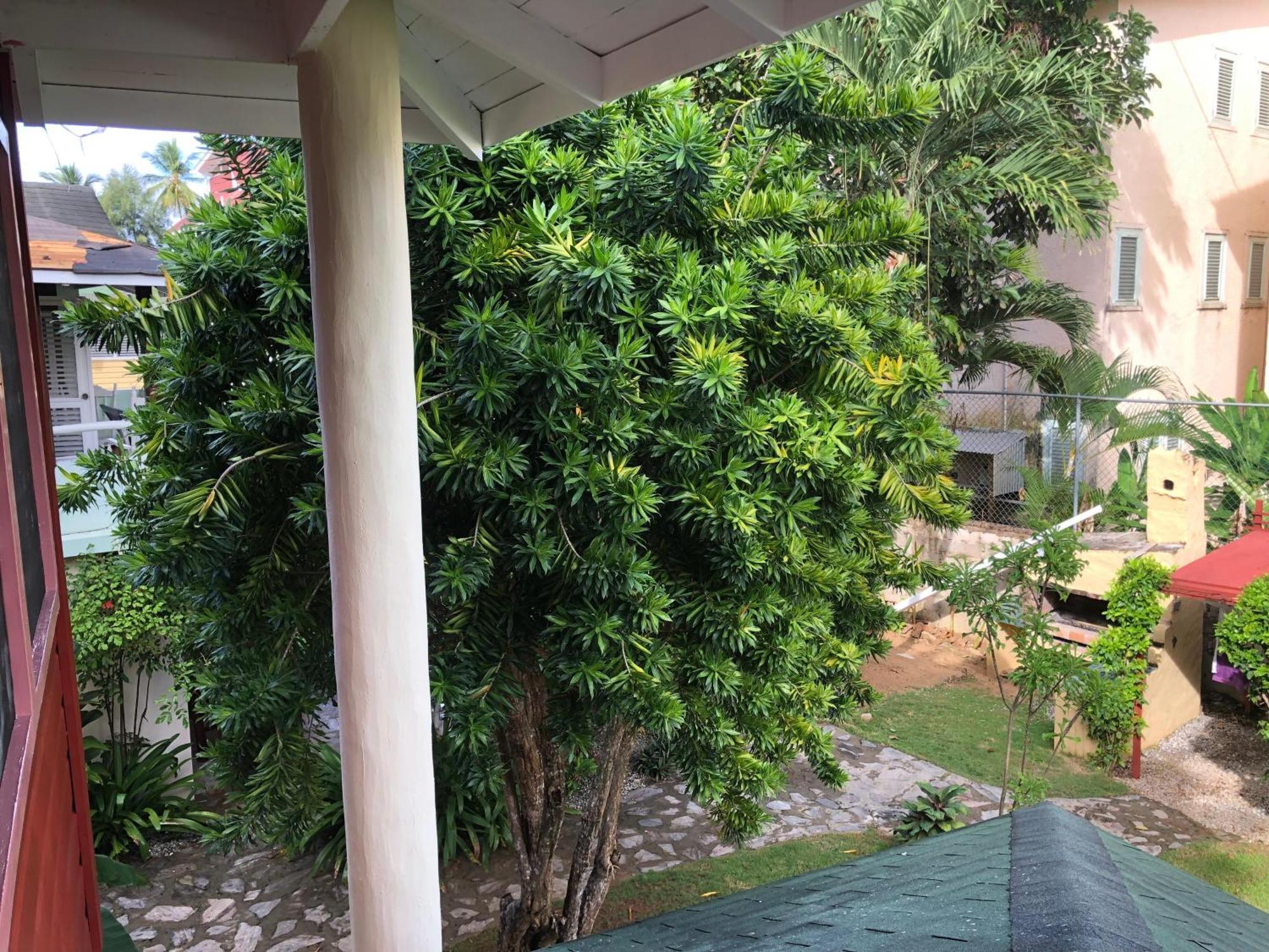 לאס טרנאס Hotel Casa Robinson מראה חיצוני תמונה