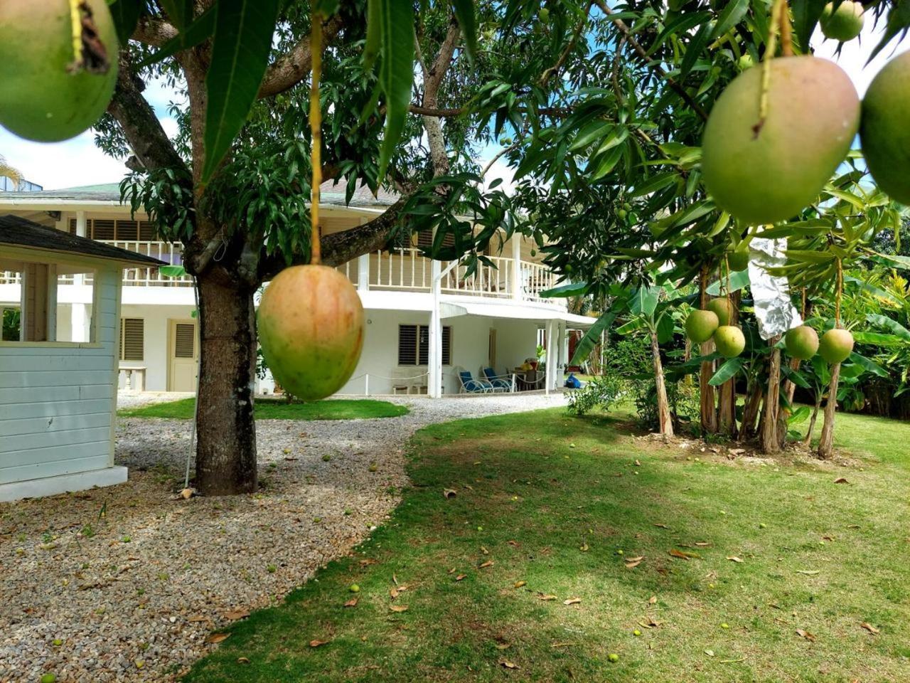 לאס טרנאס Hotel Casa Robinson מראה חיצוני תמונה