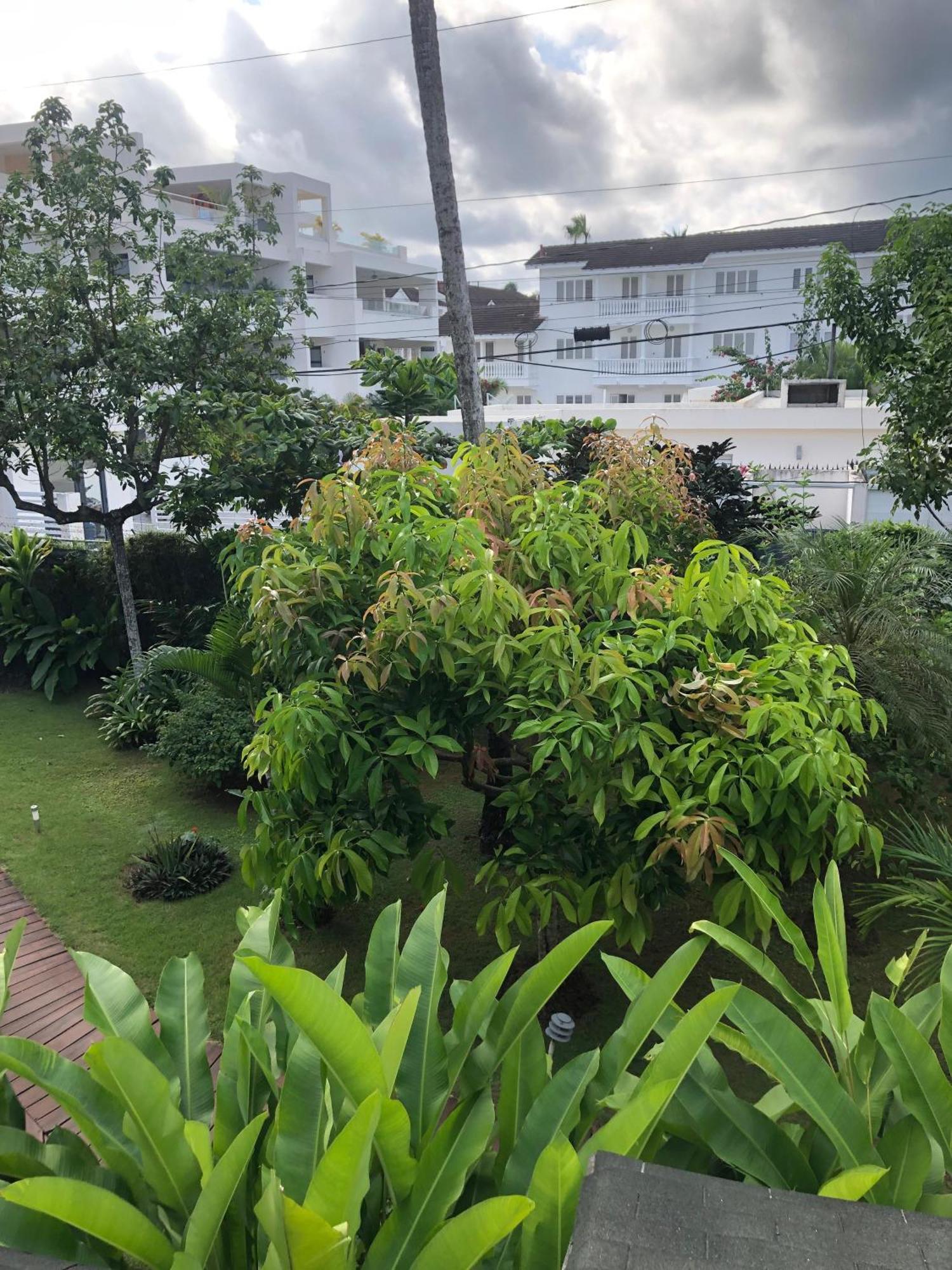 לאס טרנאס Hotel Casa Robinson מראה חיצוני תמונה